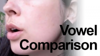Vowel Comparison