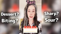 What Does “Tart” Mean in American English? | Minute English Vocabulary